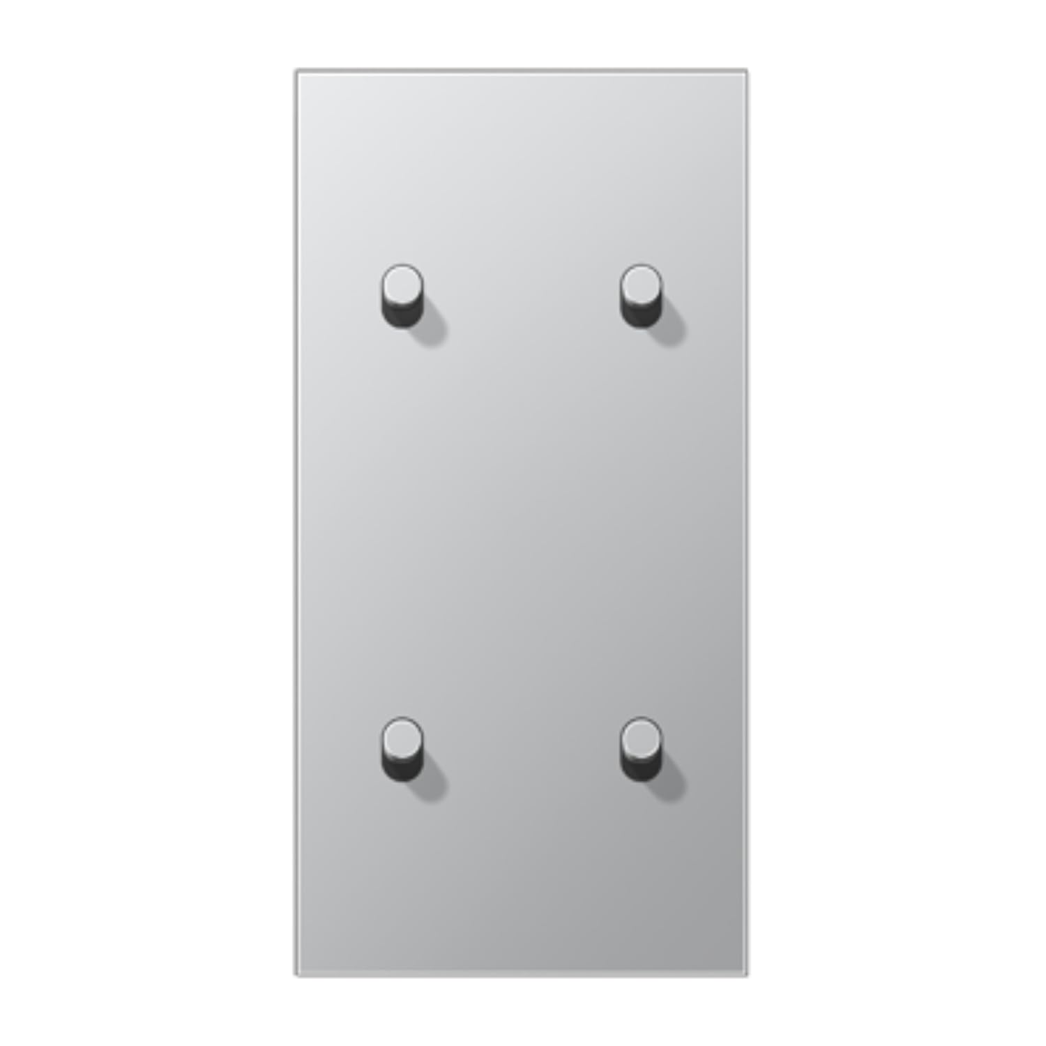 Plaque verticale Cylindre 1912 JUNG AL12-25R0 couleur aluminium brossé
