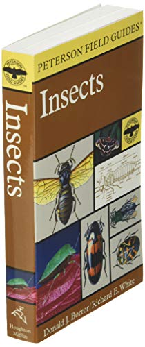 The 30 Insect & Spider Field Guides To Read In July 2026 - Cherry Picks
