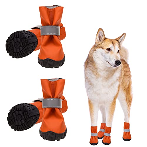 Best Shoes For French Bulldogs Just HEALTHIER Frenchies!