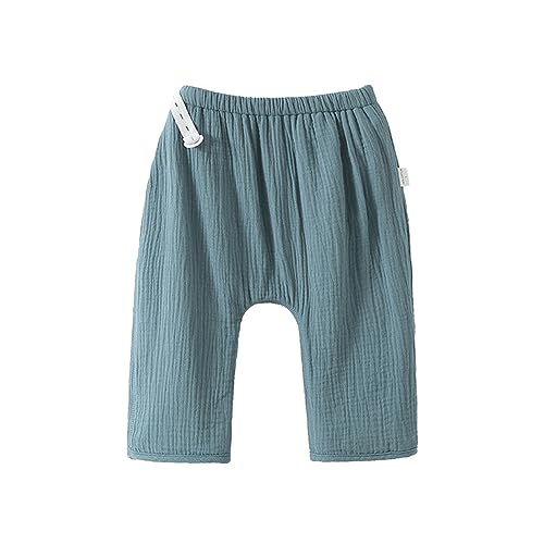 LINXAS ˂Y{ ˂pc gCg j̎q ̎q w 100 110 120 130 140 150 h EGXg  q