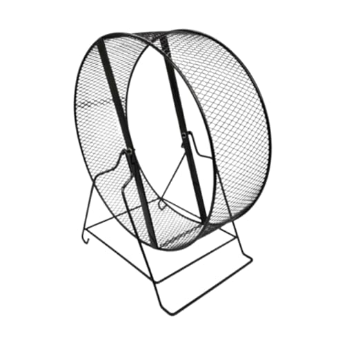 Phantasmia ^nX^[GNTTCYzC[ ^] A`XbvbV 26cm  ^ybgp (26Z`[g)