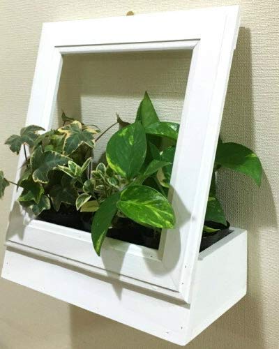 木製ウォールグリーン ホワイト プランター 木製ウォールグリーン ホワイト プランター