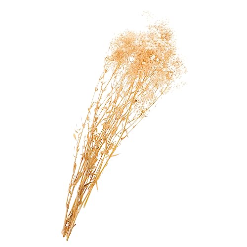 Ramo de flor seca Gypsophila Alipis para decoración miniatura 1