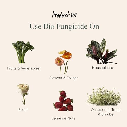 Arber Organic Protectant + Spray Bottle miniatura 7