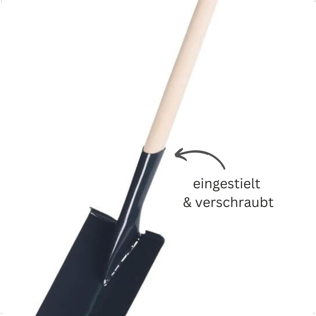 Rekord Gärtnerspaten (gehärteter Stahl, pulverbeschichtet) mit Tritt und 85 cm T-Stiel aus Buchenholz, Schaufelmaße: ca. 18 x 18 cm, Gewicht: 1,6 kg, eingestielt und verschraubt