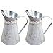 Hilai Blumeneimer rustikaler Eisenkrug Vintage Gartenkrug Blume Metall Vase Desktop Pflanzen Topf für Wohnkultur 2pcs Vasen