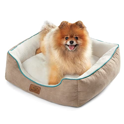 Pet Beds for Dogs The 15 best products compared Wild Explained