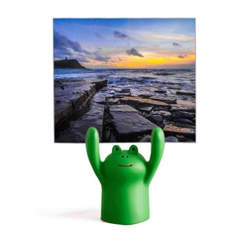 Porte-mémo grenouille Ocean st parfait pour le bureau des petits scientifiques