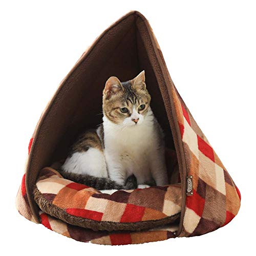 ACXI[} eBs[eg PTTL-480 uE M TCY