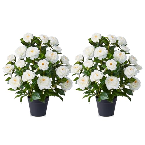 VeriNatural 2Ft Artificial Camellia Tree UV Resistant Fake Plants Set of 2
