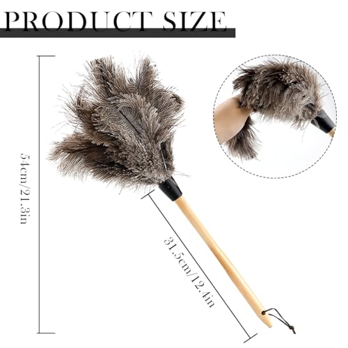 Image of Ostrich Duster, 22 inch Ostrich Duster Soft Handmade Washable, Ostrich Duster with 13 inch Wooden Handle for Cleaning