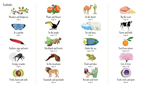 1000 Things in Nature (1000 Pictures) - Image 2