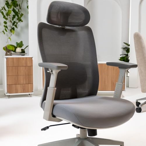 Cadeira Ergonômica Elements Astra Pro Cinza