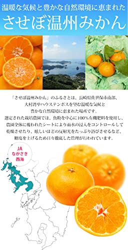 JAながさき西海 みかん 味まる 優品アップ 約5kg SSサイズ 約80個 の商品画像 5