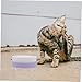 Heated Cat Water Bowl Ceramic PET Thermostatic Water Dispenser for Indoor and Outdoor Use 350ml for Cats and Dogs Winter Heating Non-Slip Base