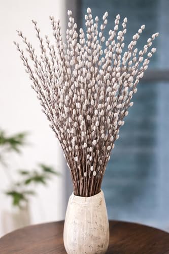 Extra Tall Natural Pussy Willow Branches for Home Décor, 3–4