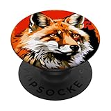 RedFoxsBests