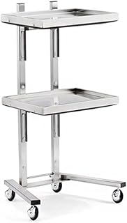 Rolling cart Two Layers Lab Serving Cart， Stainless Steel Utility Rolling Carts Medical Clinic Trolley with Silent