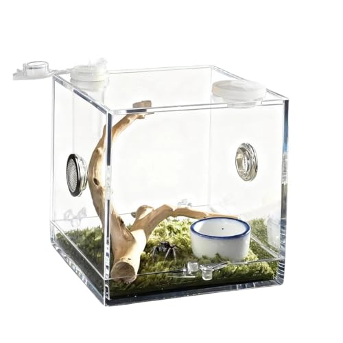 w偗peE ^w偃P[W AN^`P[W ঒ރeE hJEEJ^cE^p