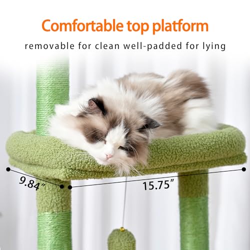Heybly Árvore para gatos, torre para gatos de 166 cm para ambientes internos, condomínio com folhas,