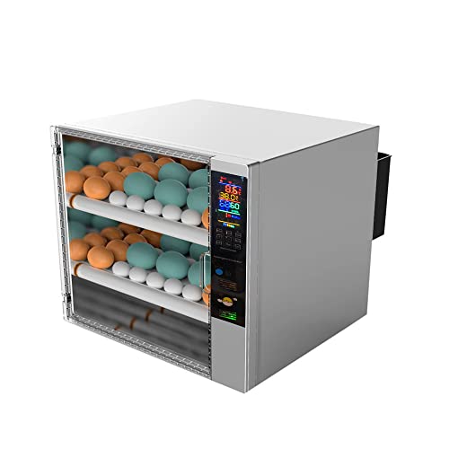 wachteleier ausbrüten ohne brutkasten Test auf VVWN vvwn.de