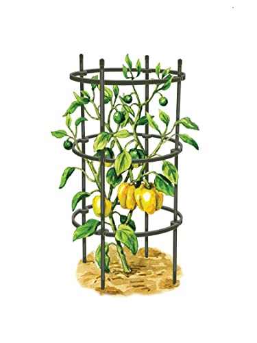 Gardeners Supply Company Pepper and Eggplant Cages Plant Stand | Sturdy & Adjustable Garden Plants Support for Eggplants Peppers & Other Fruit Bearing Plants | 13.75" D x 32" H (Set ...