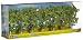 Produktbild NOCH 25096 Noch 25096-Birken H0/TT/N/Z