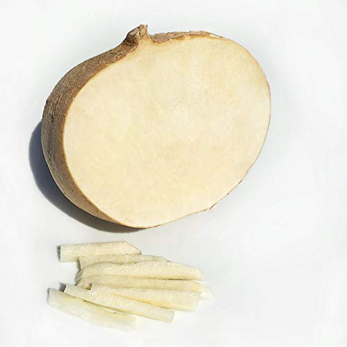 Kejora Fresh Young Jicama 5 LB - Thumbnail 2
