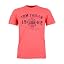 21082 | Neon Peach