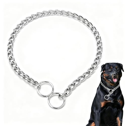 Slip Link Dog Chain Collar – Adjustable Martingale, Silver