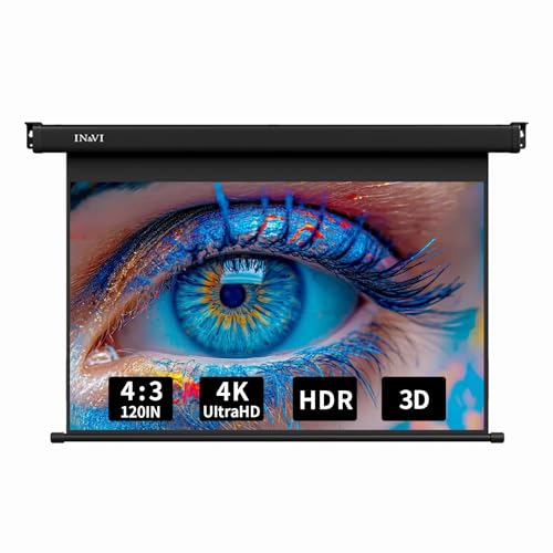 DIBAKO Manuell Projektionsleinwand Beamer Leinwand, 40 Zoll HD Heimkino Rolloleinwand, 3D 4K