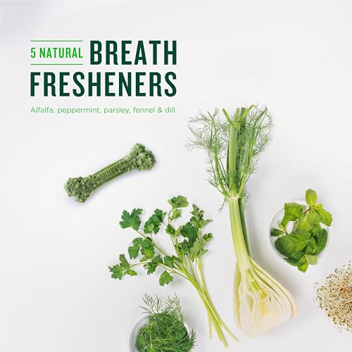 minties dental chews for dogs 60 count vet-recommended mint-flavored treats for medium dogs 25-50 lbs bones clean teeth fight bad breath and removes plaque and tartar