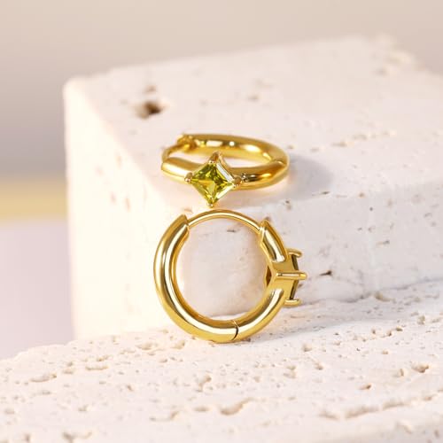 FANSING Birthstone Hoop Earrings for Women Lightweight 316L Surgical Steel Huggie Earrings4