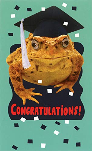 RSVP Toad Wearing Grad Cap Funny : Humorous Money Holder or Gift Card Holder Graduation Congratulations Card