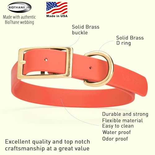 Image of Viper Biothane Heavy Duty Waterproof Dog Collar Strong Coated Nylon Webbing w /Solid Brass Hardware Odor-Proof Easy to Clean High Performance Fits Small Medium or Large Dogs, Coral