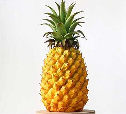 Amazon Co Jp Gannbarou 果物のサンプル パイナップル 1個 食品サンプル かわいい 本物そっくり 机の果物食品の飾り 色鮮やか ディスプレイ おままごと 学校 行事 などに 最適 おケーキ屋 果物屋などに 小物 インテリア 12 26cm おもちゃ Amazon Co Jp Gannbarou 果物のサンプル パイナップル 1個 食品サンプル かわいい 本物そっくり 机の果物食品の飾り 色鮮やか ディスプレイ おままごと 学校 行事 などに 最適 おケーキ屋 果物屋などに 小物 インテリア 12 26cm おもちゃ