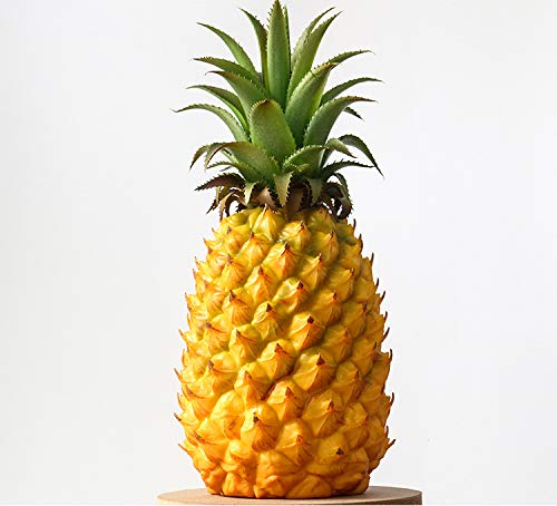 gannbarou ʕ̃Tv pCibv 1 HiTv 킢 { ̉ʕHȉ FN₩ fBXvC ܂܂ wZ s Ȃǂ œK P[L ʕȂǂ  CeA (12*26cm)