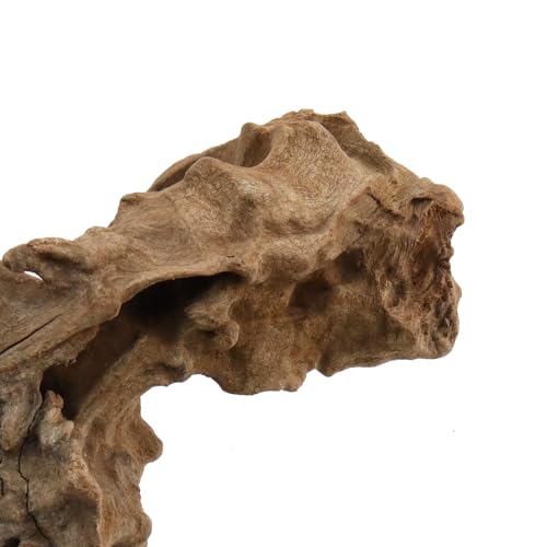 Bois flotté naturel de 5-10 cm pour aquarium et micro paysage - Lot de 5 pièces