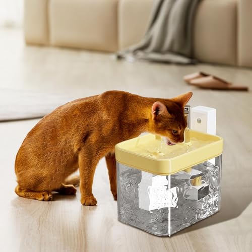 Fontaine à eau pour chat et chien idéale intérieur et extérieur - 4