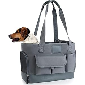 Pet Carrier Bag