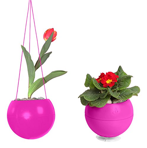 GreenboGreenball, Pink, 2-Pack