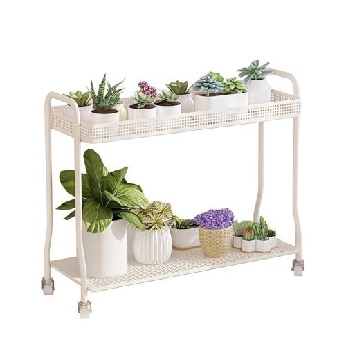 Numzot[X^hK[fX^ht[X^h2wAX^hKтȂLX^[tړ֗K[fjOpiȃoRj[rOA[AoRj[/O/ (100CM,AC{[zCg)