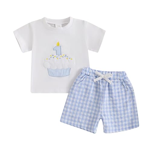 GOOCHEER Baby Boy Girl First Birthday Outfit 1 Cake Short Sleeve T Shirt Plaid Shorts One Year Old Birthday Clothes (Blue, 12-18 Months)