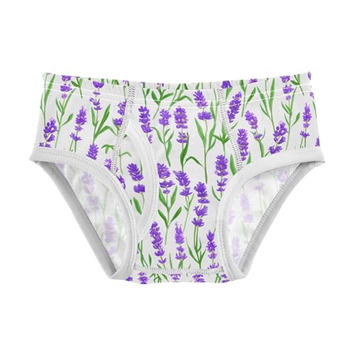 Lavender Flowers Toddler Boy's Underwear 2T 202c1891