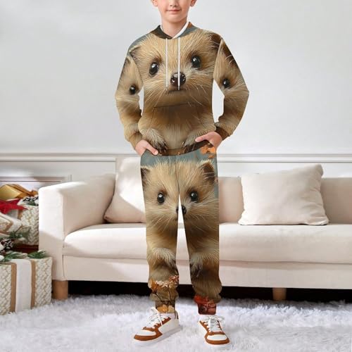 Boys Girls Sweatshirt Pullover Hoodie & Pants Kid Active Sweatsuit Tracksuit, Hedgehog Vintage3