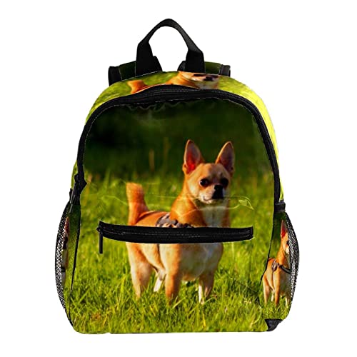 Sac à dos pour garçons motif chien multicolore : Le cadeau d'anniversaire utile de 30,5 cm