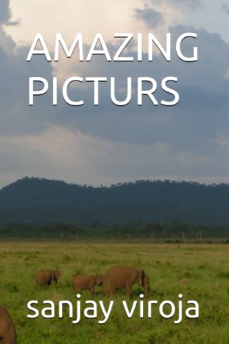 AMAZING PICTURS