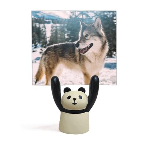 Support photo de chien et de neige blanc cadre decoratif