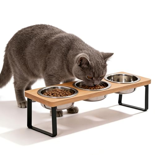 3er Set Katzennapf Erhöht, Futternapf Katze, 15° Gekippte Futterstation Katzen Hundenapf, Hundenapf Erhöht, Futterstation Katze Mit 3 Edelstahl...