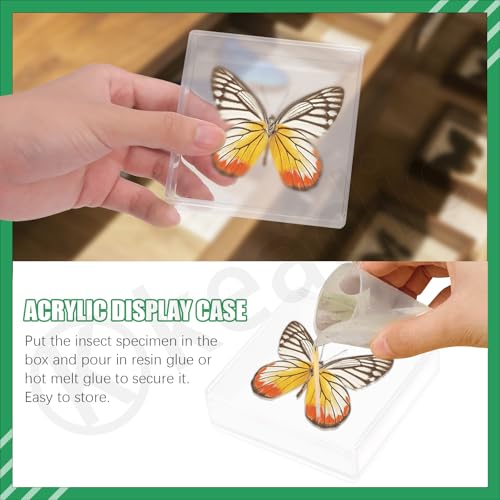 Keadic 114pcs Making Insect Specimen Toolkit W #2 Insekt Pins, Schmetterling Pinning Board und Block, Flügel Pressen Papiere, Bug Display Case, Insekt Wissenschaft Bildung Kit für die Schule